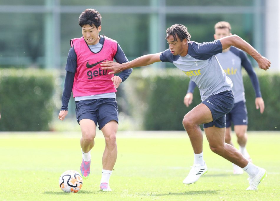 文章的SE 文章的SE